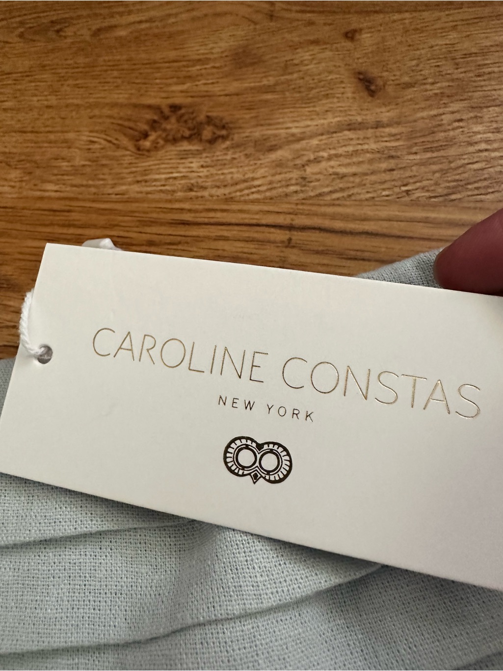 Nwt Caroline Constas Strapless Pleated Maxi Dress Xs Linen Blend Baby Blue — image 6 of 8